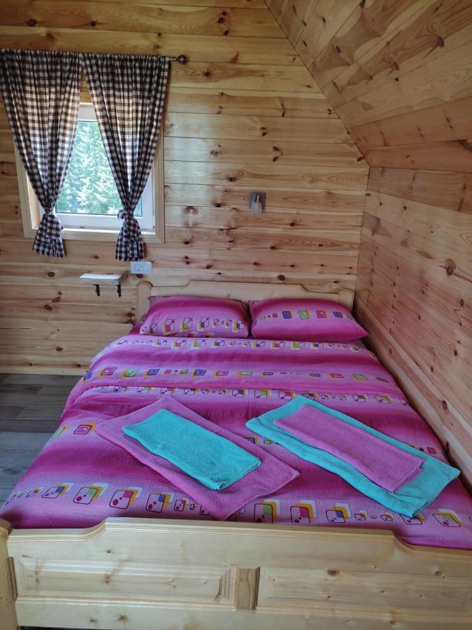 Tim Curic Villa Zabljak  Ngoại thất bức ảnh